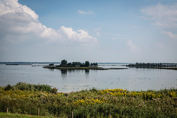 _BEN3457