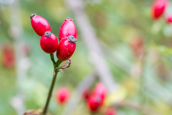 oktober 2015