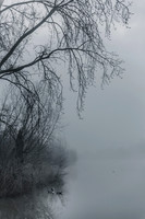 _BEN9136