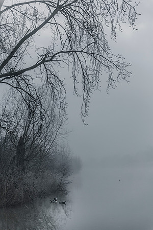 _BEN9136
