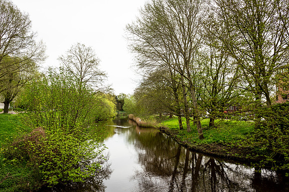 _BEN0590