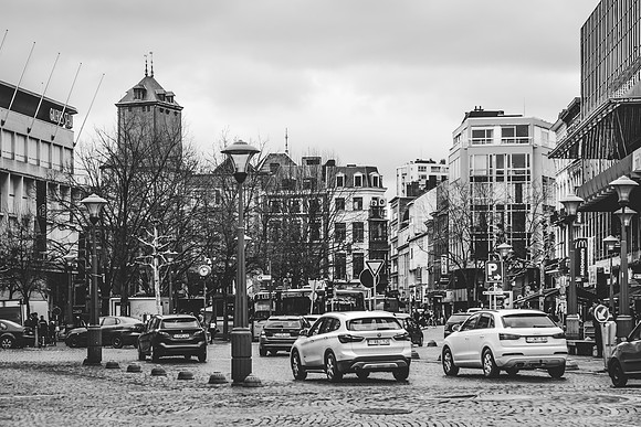 _BEN5731 - zw