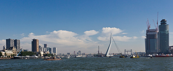 _MG_4742
