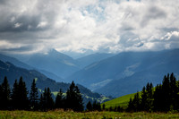 _BEN2728