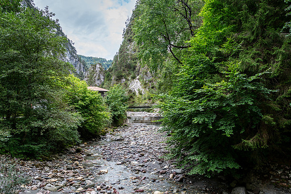 _BEN2784