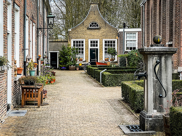IMG_3391