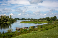 _BEN2586