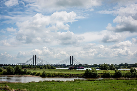 _BEN2596