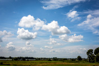 _BEN2595