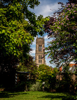 _BEN2621
