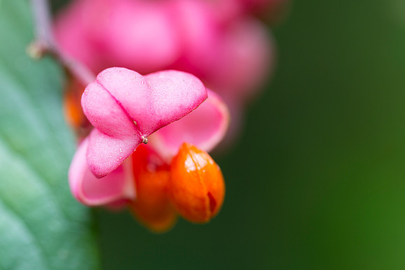 oktober 2015