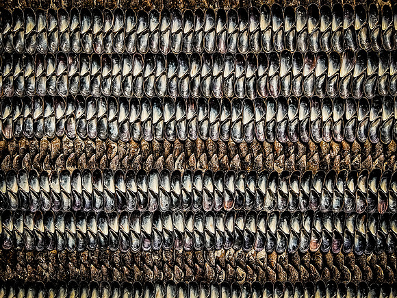IMG_4013