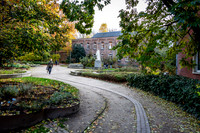 _BEN3346