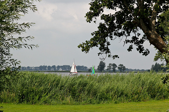 _MG_3571
