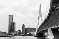 2023 - rotterdam