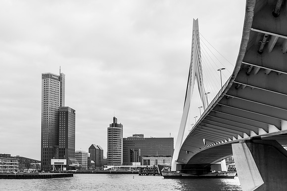 2023 - rotterdam