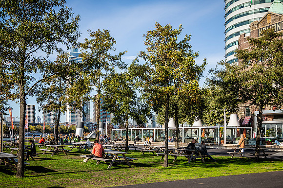 2022 - rotterdam