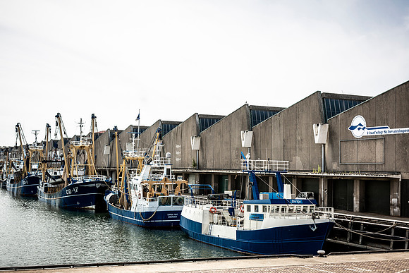 2019 scheveningen