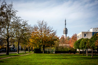 2020 - langdonk