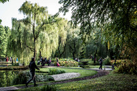 _BEN4595