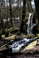_BEN9691