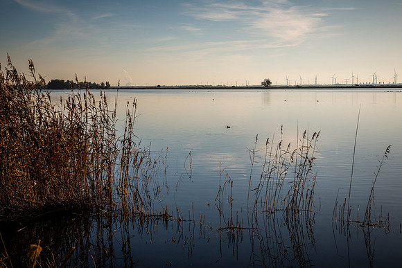 2022 bergen op zoom