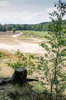 2014 bergen op zoom