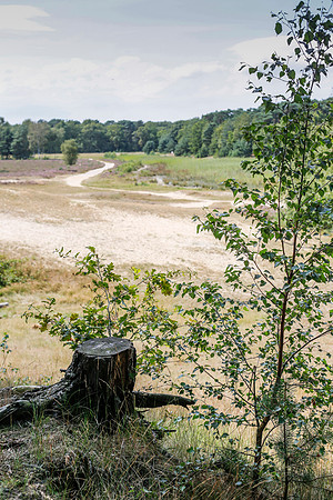 2014 bergen op zoom