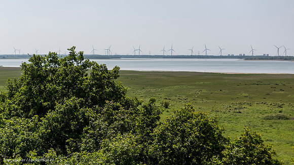 2014 bergen op zoom