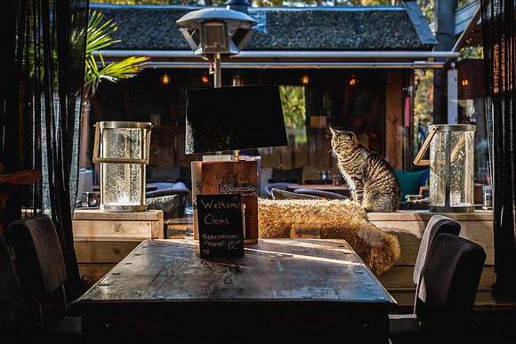 2019 bergen op zoom - zoomland