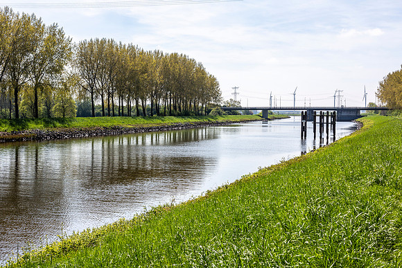 _BEN9136