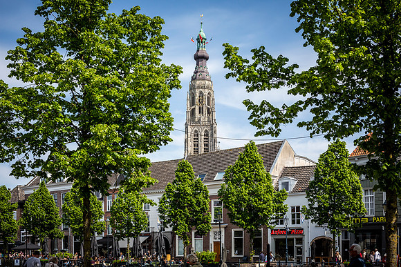 _BEN9181