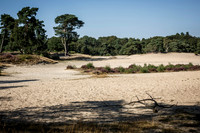 2021 amersfoort