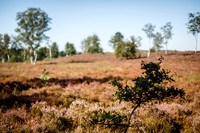 2021 amersfoort