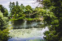 _BEN7003