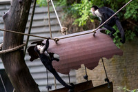 _BEN9078