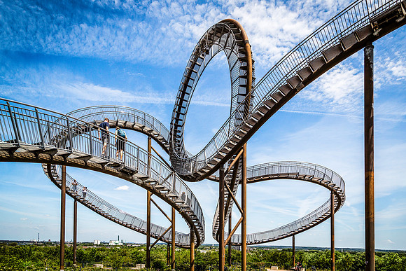 Tiger & Turtle
