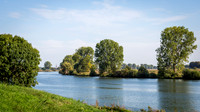 SBEN4135