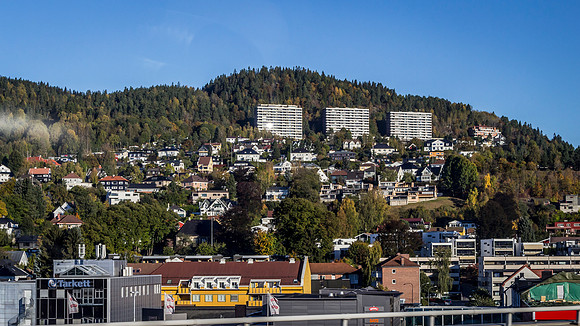 _MG_2466