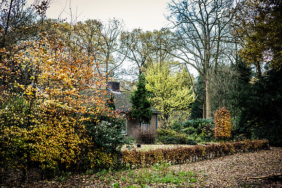 nov 2016