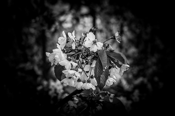 _BEN3194