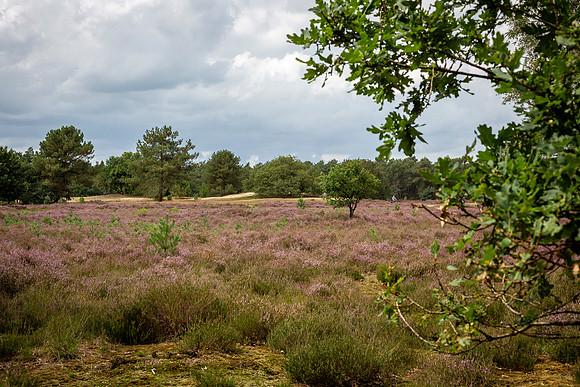 _BEN9467