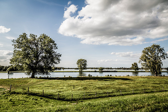 _BEN3676