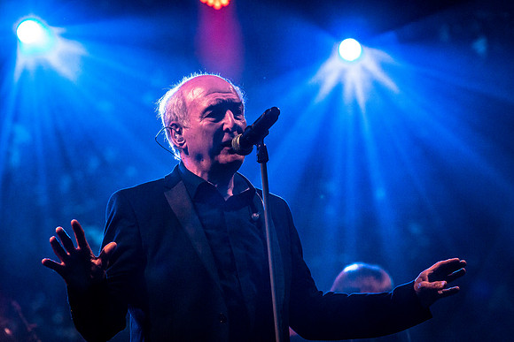 2016, Peter Koelewijn
