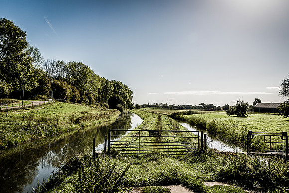 _BEN3575