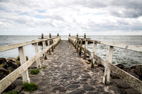 _BEN3173