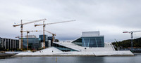 _MG_2495