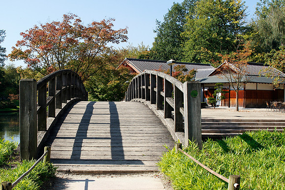 2011