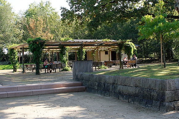 2011