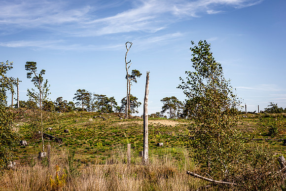 _BEN0103